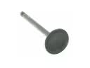 Scion Intake Valve